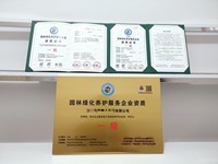 上海市工商營業(yè)執(zhí)照代辦、組織機(jī)構(gòu)代碼證代辦與財(cái)務(wù)代理服務(wù)全解析