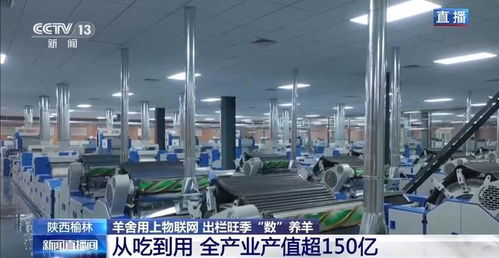 物聯(lián)網(wǎng)與人工智能賦能智慧羊舍 技術(shù)革新驅(qū)動(dòng)養(yǎng)羊業(yè)出欄旺季高效增長(zhǎng)